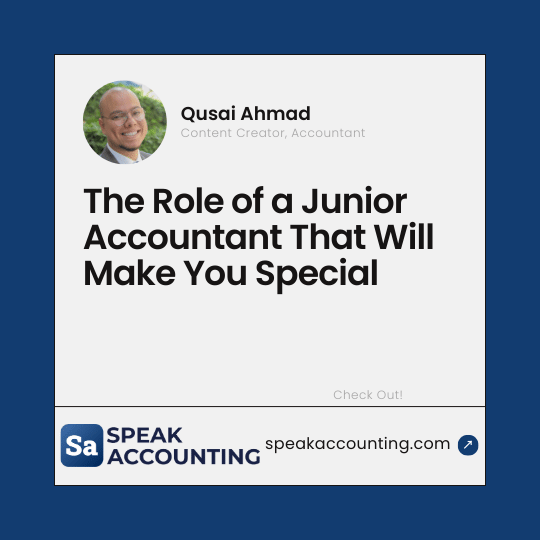 The Role of a Junior Accountant That Will Make You Special