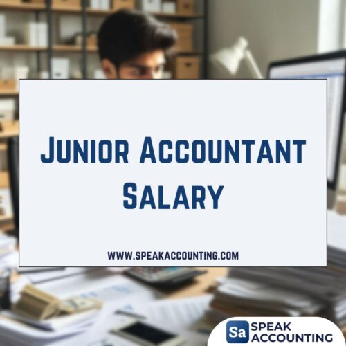 Junior Accountant Salary
