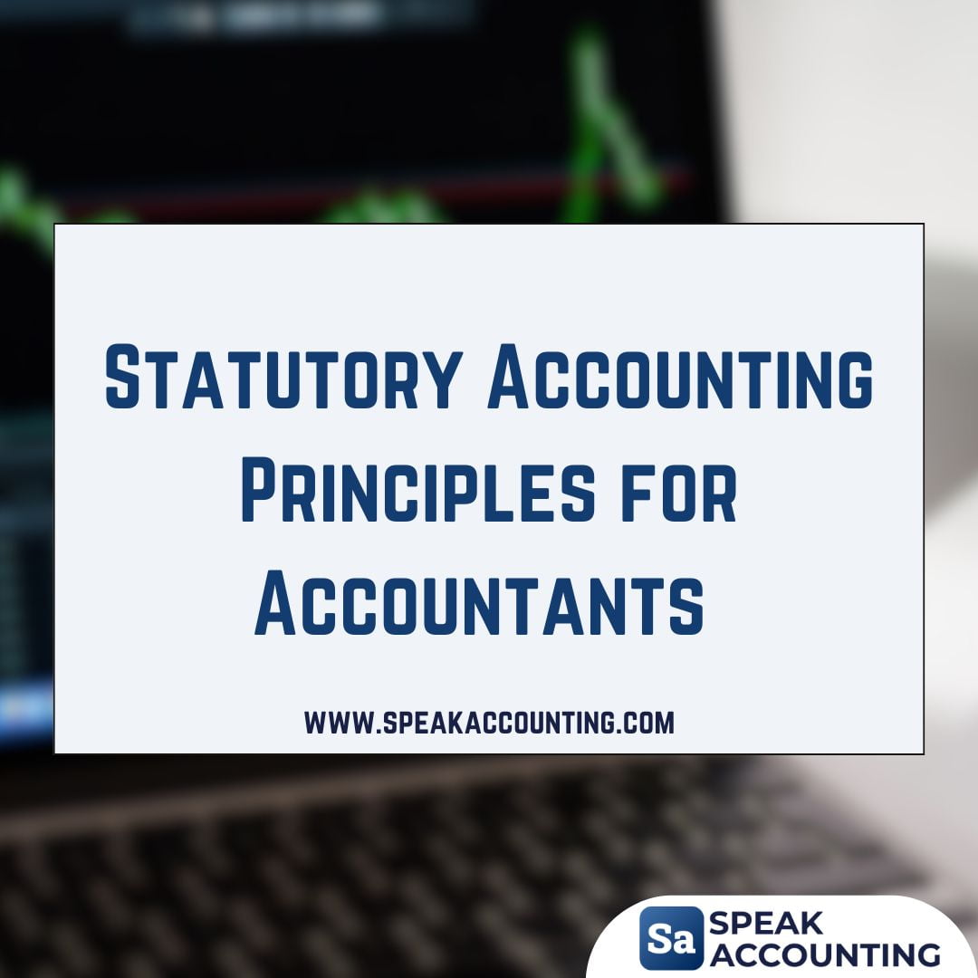 Statutory Accounting Principles A Comprehensive Guide